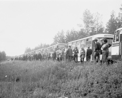 1979_07 РУП_ Гольшаны ветки 0204