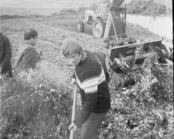 1979_07 РУП_ Гольшаны ветки 1002