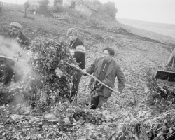 1979_07 РУП_ Гольшаны ветки 1003