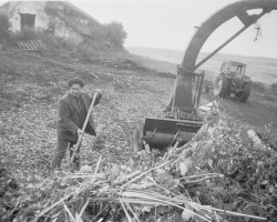 1979_07 РУП_ Гольшаны ветки 1004