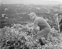 1979_07 РУП_ Гольшаны ветки 1005